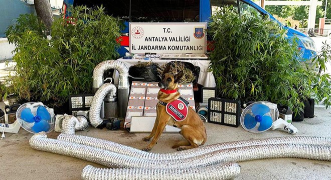 Antalya da jandarma uyuşturucu tacirlerine geçit vermiyor