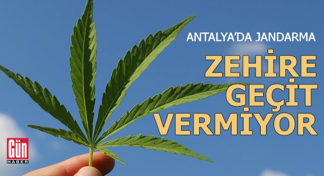 Antalya da jandarma zehire geçit vermiyor