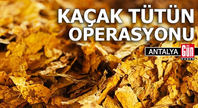 Antalya da kaçak tütün operasyonu