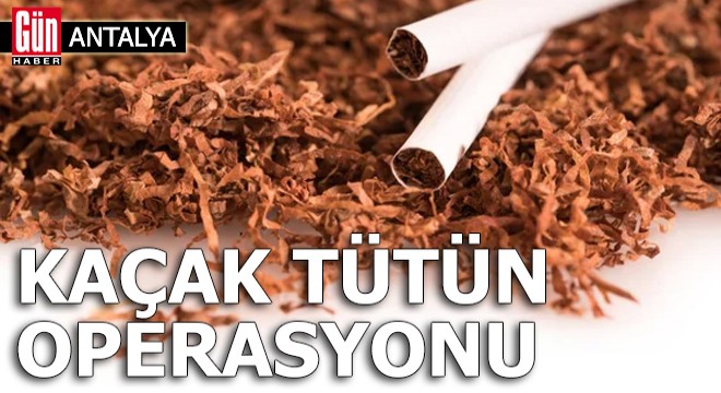 Antalya da kaçak tütün operasyonu