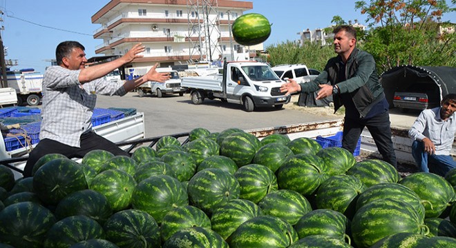 Antalya da karpuz hasadı başladı