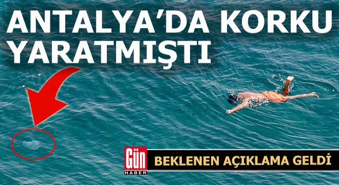 Antalya da korku ve paniğe neden oldu