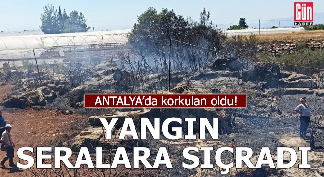 Antalya da korkulan oldu!