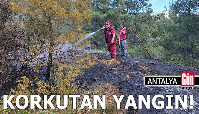 Antalya'da korkutan orman yangını