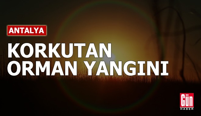 Antalya'da korkutan orman yangını