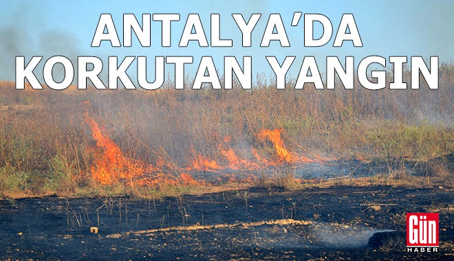 Antalya'da korkutan yangın!