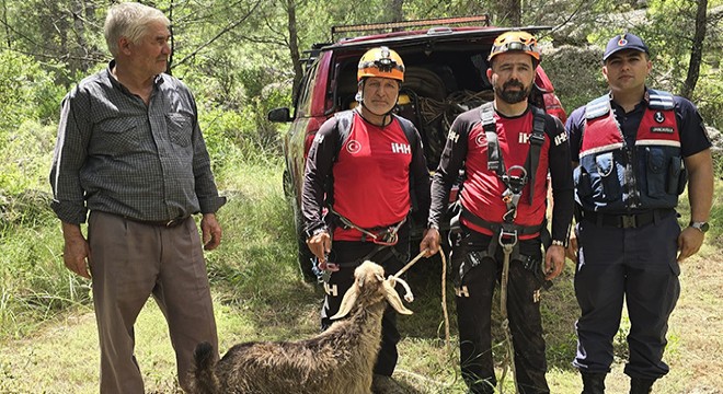 Antalya da mağarada mahsur kalan keçi kurtarıldı