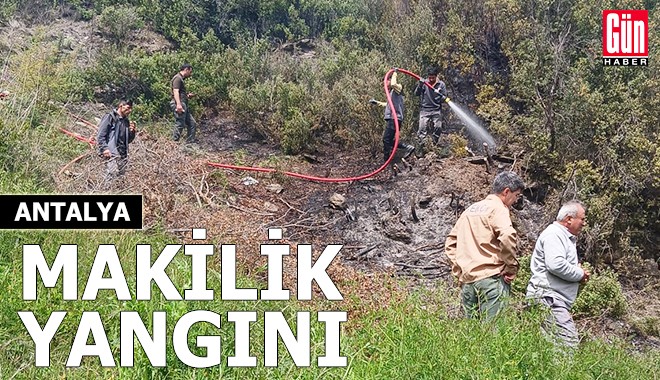 Antalya'da makilik yangını büyümeden söndürüldü