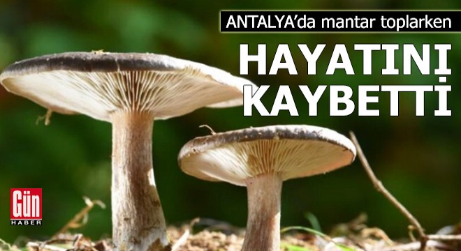 Antalya da mantar toplarken hayatını kaybetti