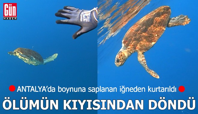 Antalya'da ölümün kıyısından döndü