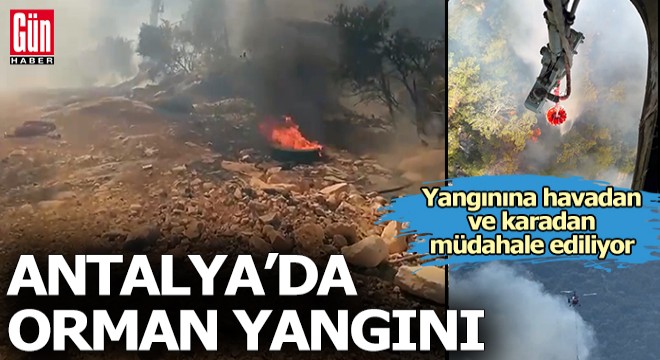 Antalya da orman yangını