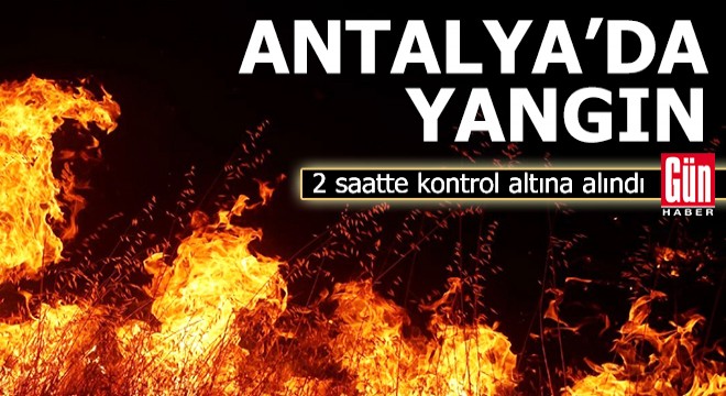 Antalya da orman yangını, 2 saatte kontrol altına alındı