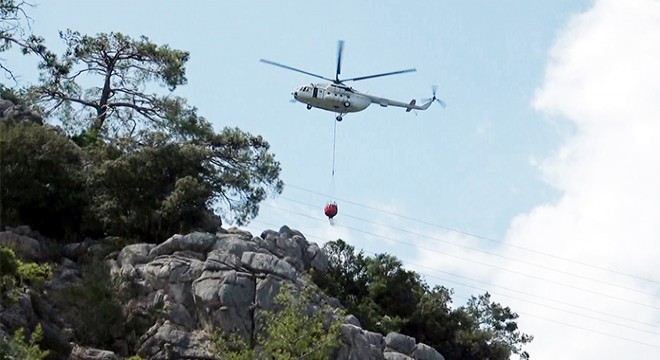 Antalya da orman yangını