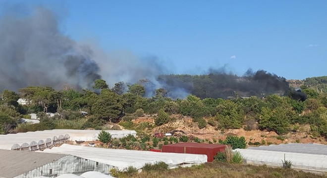 Antalya da orman yangını