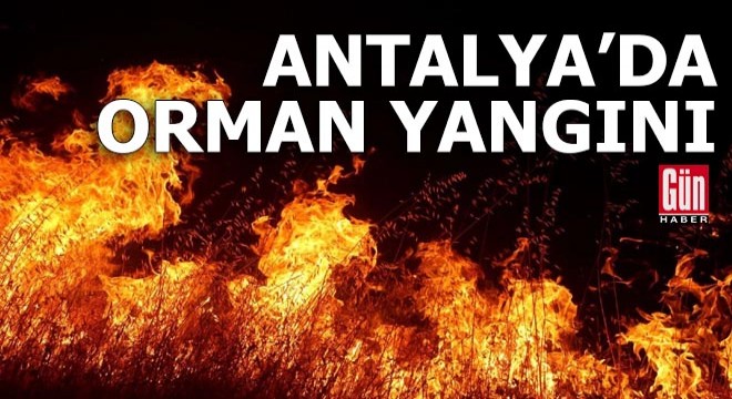 Antalya’da orman yangını