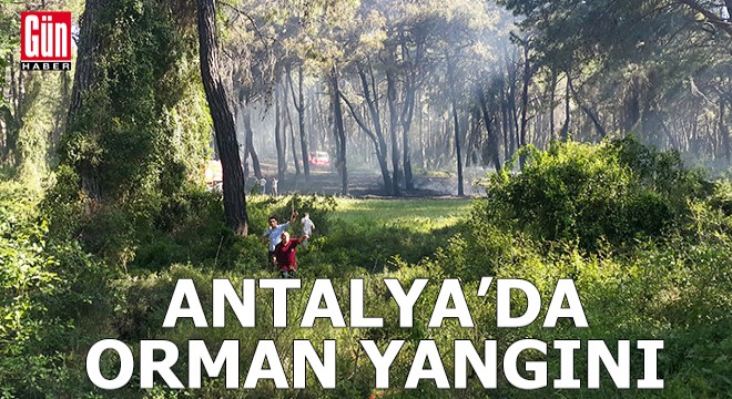 Antalya da orman yangını