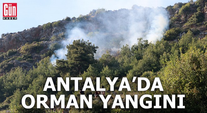 Antalya da orman yangını