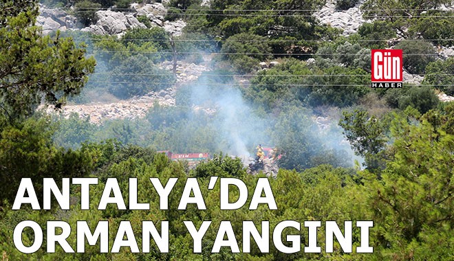 Antalya'da orman yangını