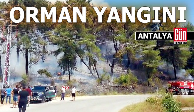 Antalya'da orman yangını