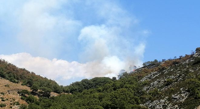 Antalya da orman yangını