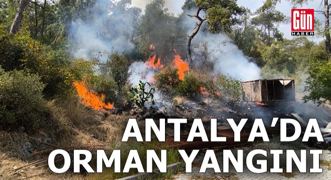 Antalya da orman yangını