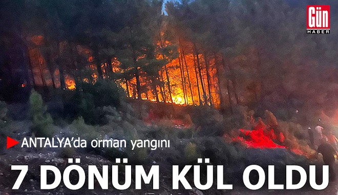 Antalya'da orman yangını: 7 dönüm kül oldu