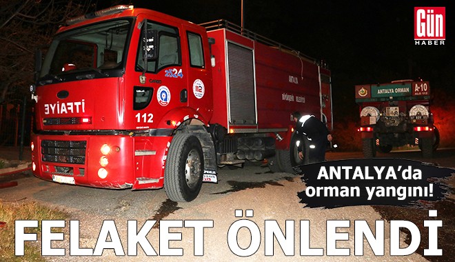 Antalya'da orman yangını! Felaket önlendi