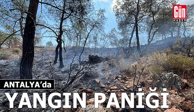 Antalya'da orman yangını paniği