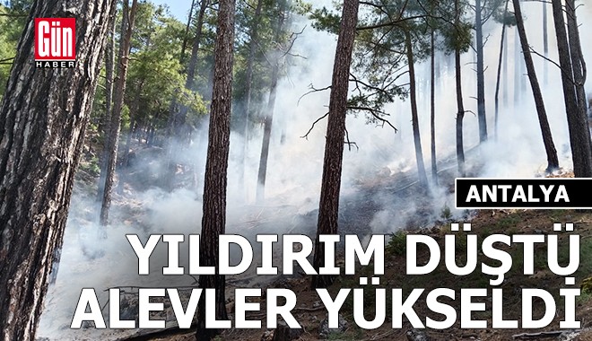 Antalya'da ormana yıldırım düştü, alevler yükseldi