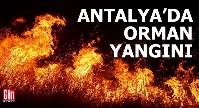 Antalya da ormanlık alanda yangın