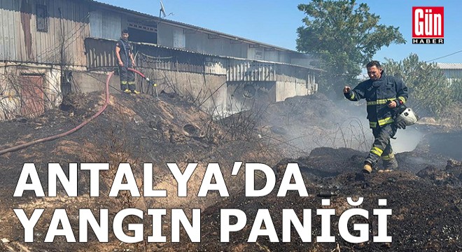 Antalya da ot- çalılık yangını