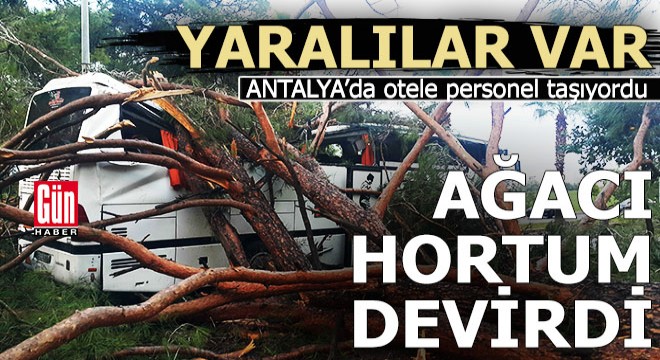 Antalya da otel çalışanlarını taşıyan servis aracına ağaç devrildi: 7 yaralı