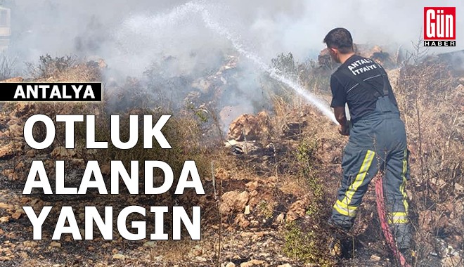 Antalya'da otluk alanda yangın