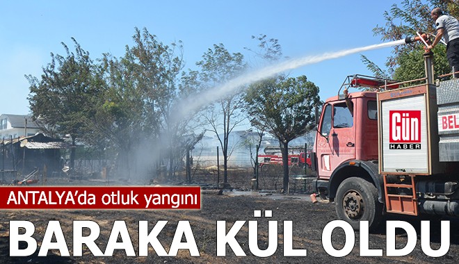 Antalya'da otluk yangını! Baraka kül oldu