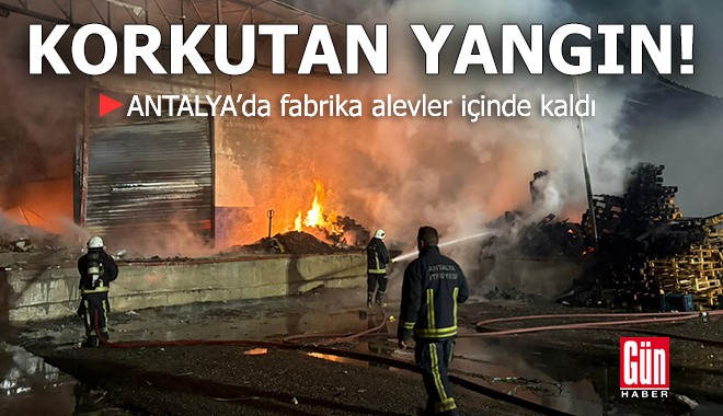 Antalya'da paketleme fabrikasında korkutan yangın