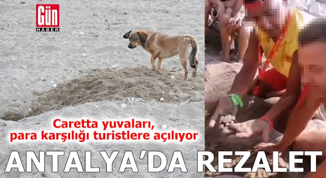 Antalya da para karşılığı rezalet!
