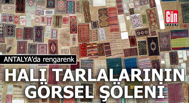 Antalya da rengarenk halı tarlalarının görsel şöleni