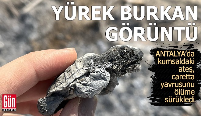 Antalya'da sahilde yürek burkan görüntü
