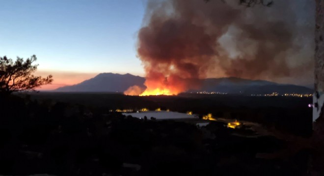 Antalya da sazlık ve ağaçlıkta yangın