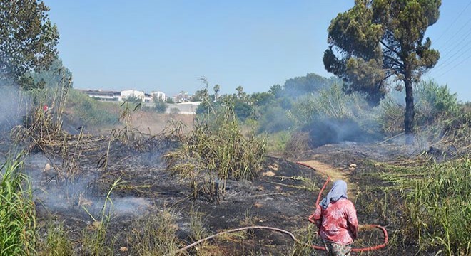 Antalya da sazlık yangını seralara sıçramadan söndürüldü
