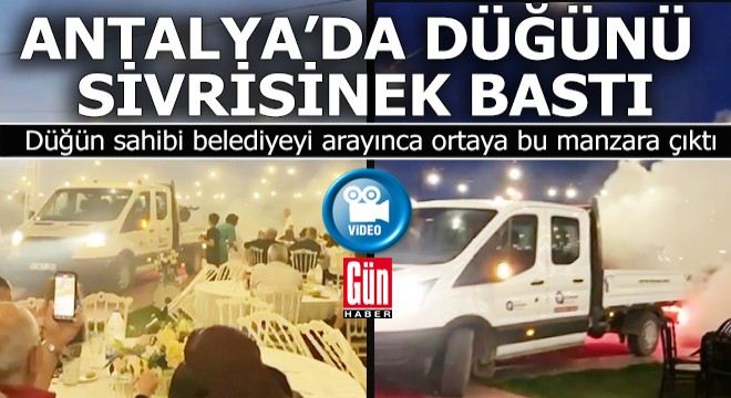 Antalya da sivrisinekler düğünü basınca belediye ekipleri sevk edildi