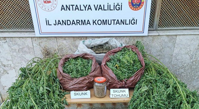 Antalya da uyuşturucu operasyonu