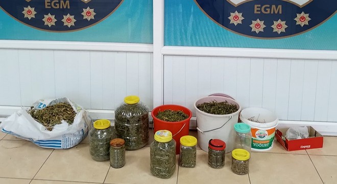 Antalya da uyuşturucuyu yağ ve turşu bidonlarında satmış