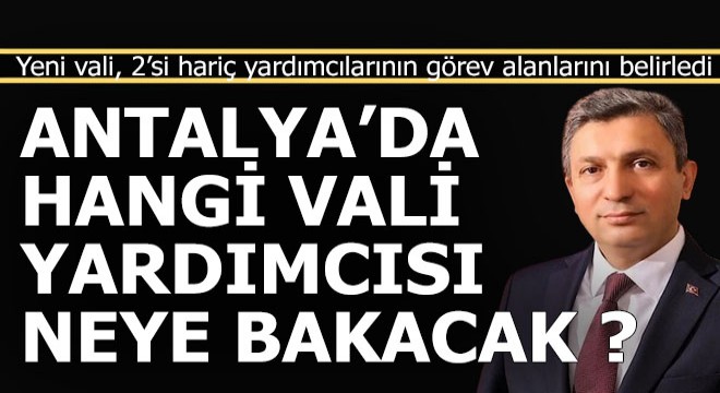 Antalya da vali yardımcılarının görev alanları belli oldu