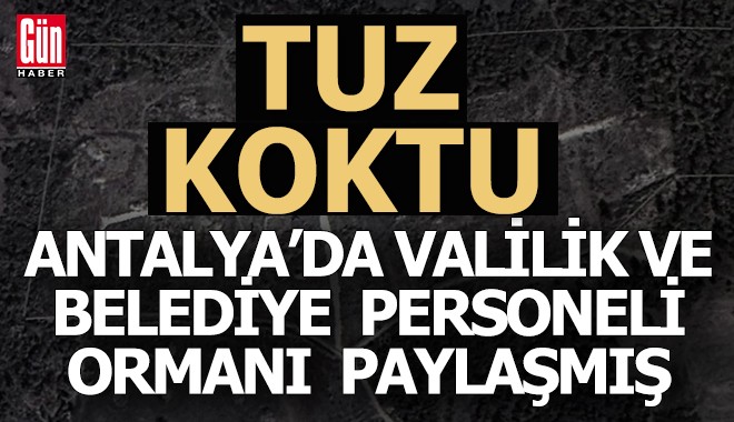 Antalya'da valilik ve belediye personeli elele vermiş ormanı paylaşmış