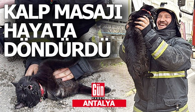 Antalya'da yangından kurtarılan kedi kalp masajı ile hayata döndü