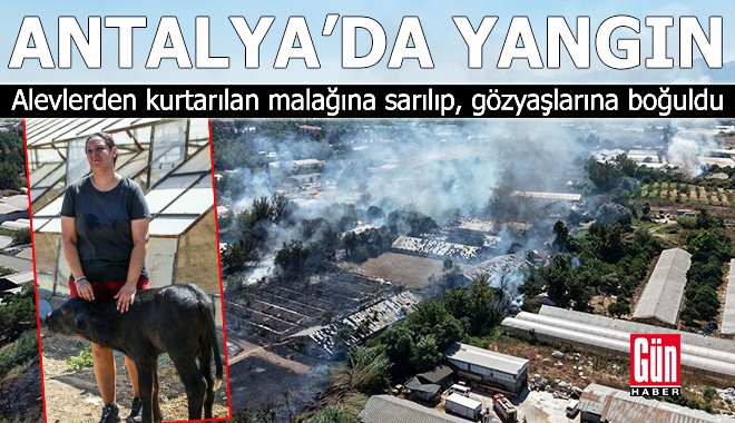Antalya'da yangından kurtarılan malağına sarılıp, gözyaşlarına boğuldu