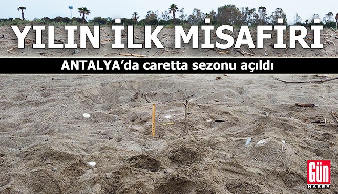 Antalya'da yılın ilk misafiri
