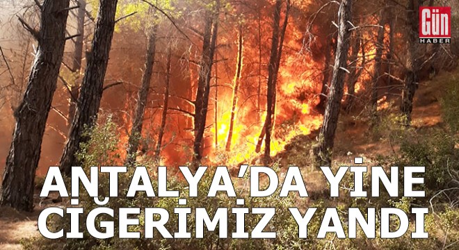 Antalya da yine ciğerimiz yandı!