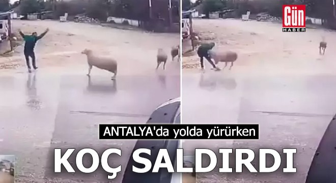 Antalya da yolda yürürken koçun saldırısına uğradı